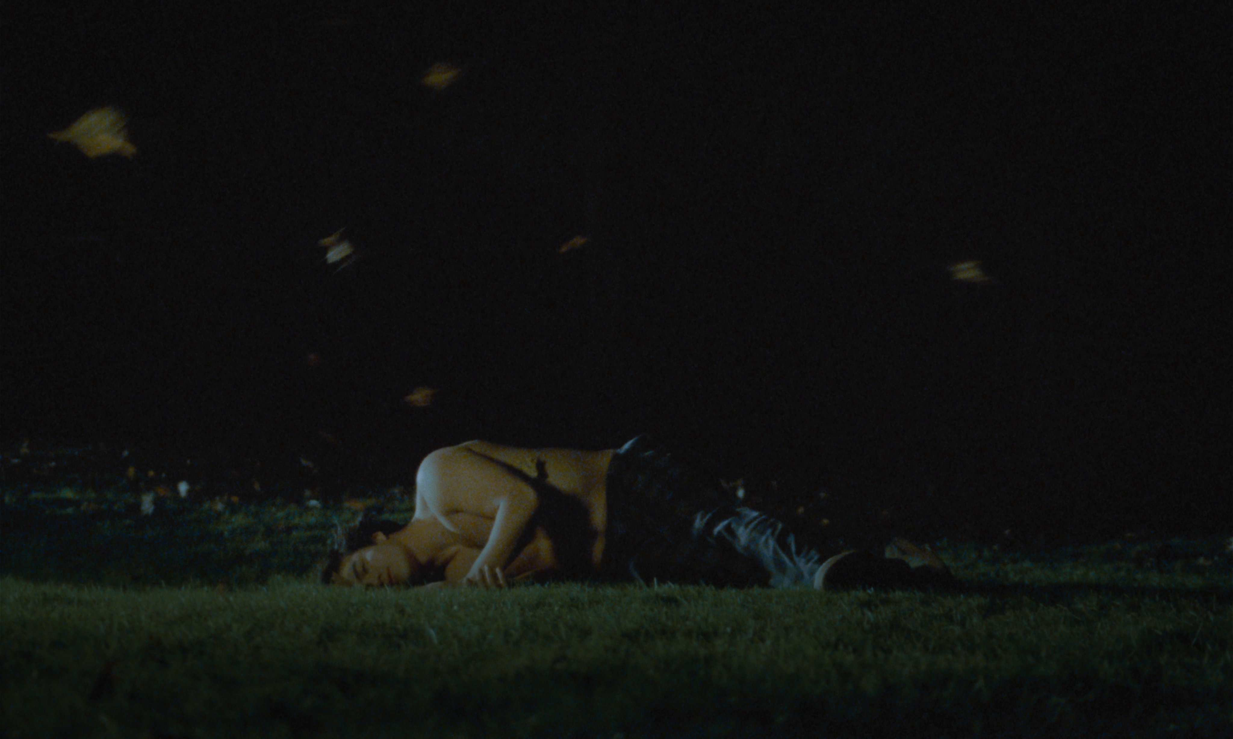 朱利安与风 封面